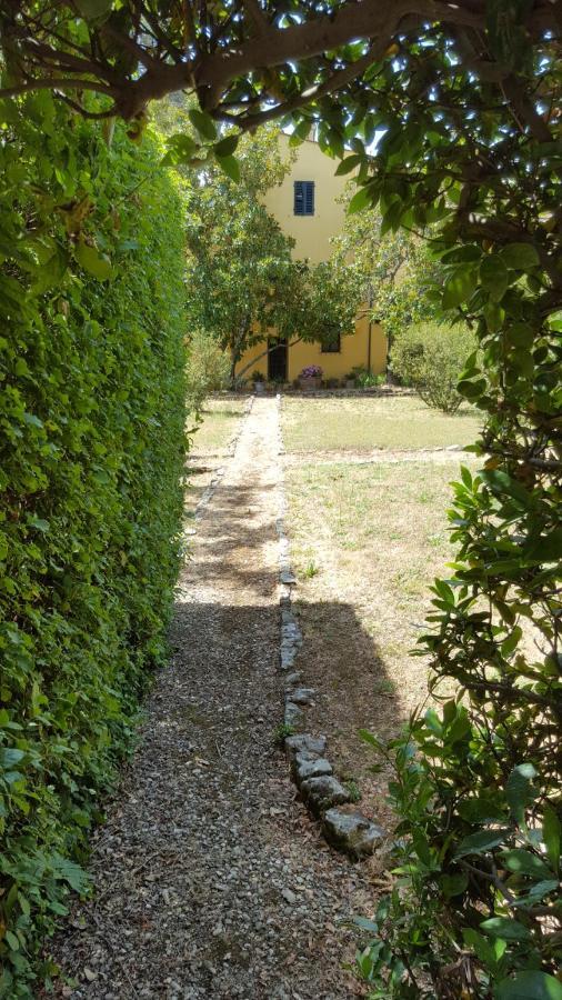 La Limonaia Villa Florence Luaran gambar
