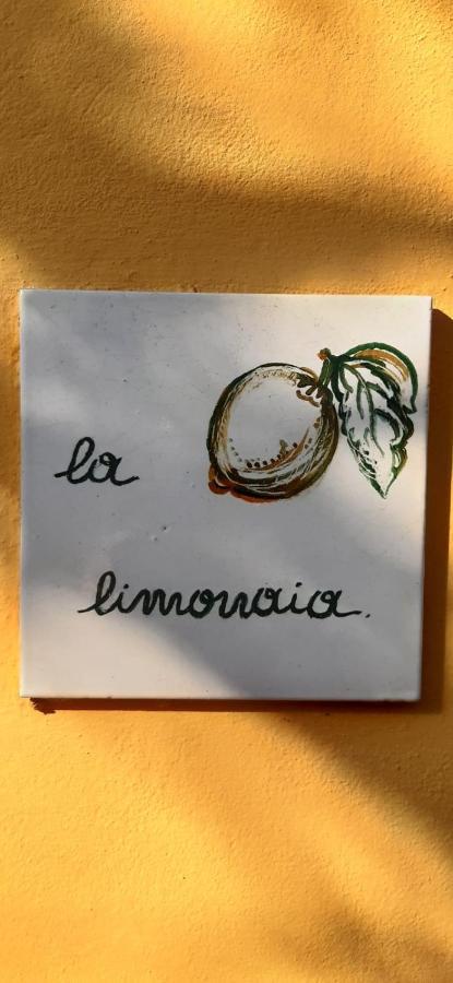 La Limonaia Villa Florence Luaran gambar